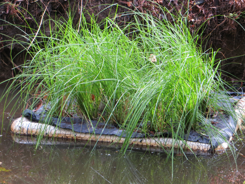 How to make a Floating wetland