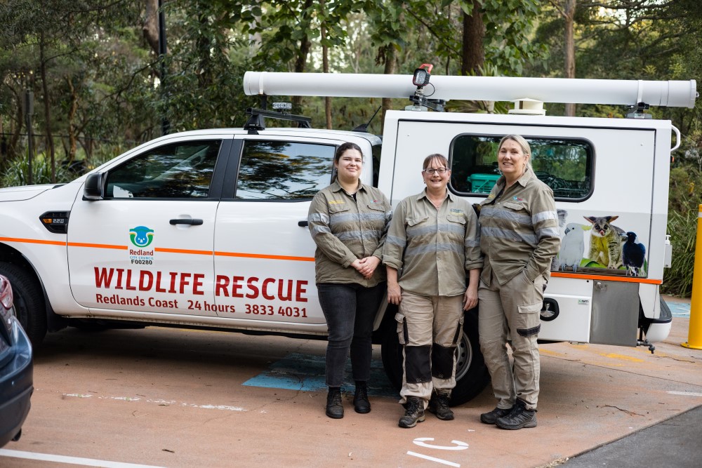 Redland wildlife rescue